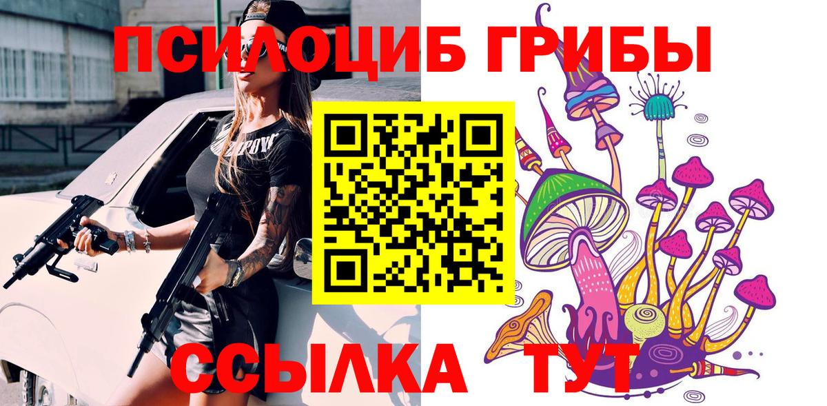 Галлюциногенные грибы Psilocybe  Вход с VPN  Выборг 