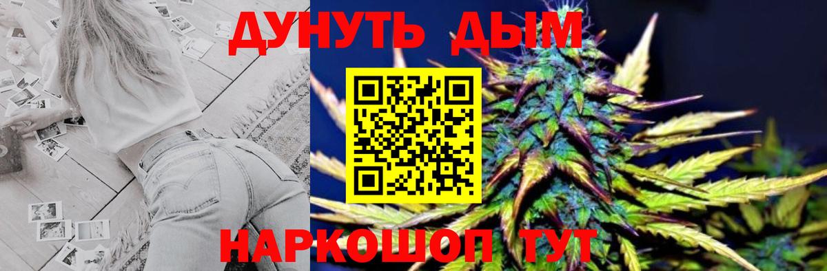 Бошки Шишки ГИДРОПОН  Каннабис SATIVA & INDICA  Бошки марихуана сатива  Вход с VPN  Выборг 